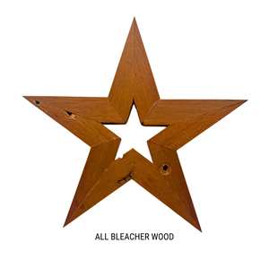 REGENTS GYM STAR